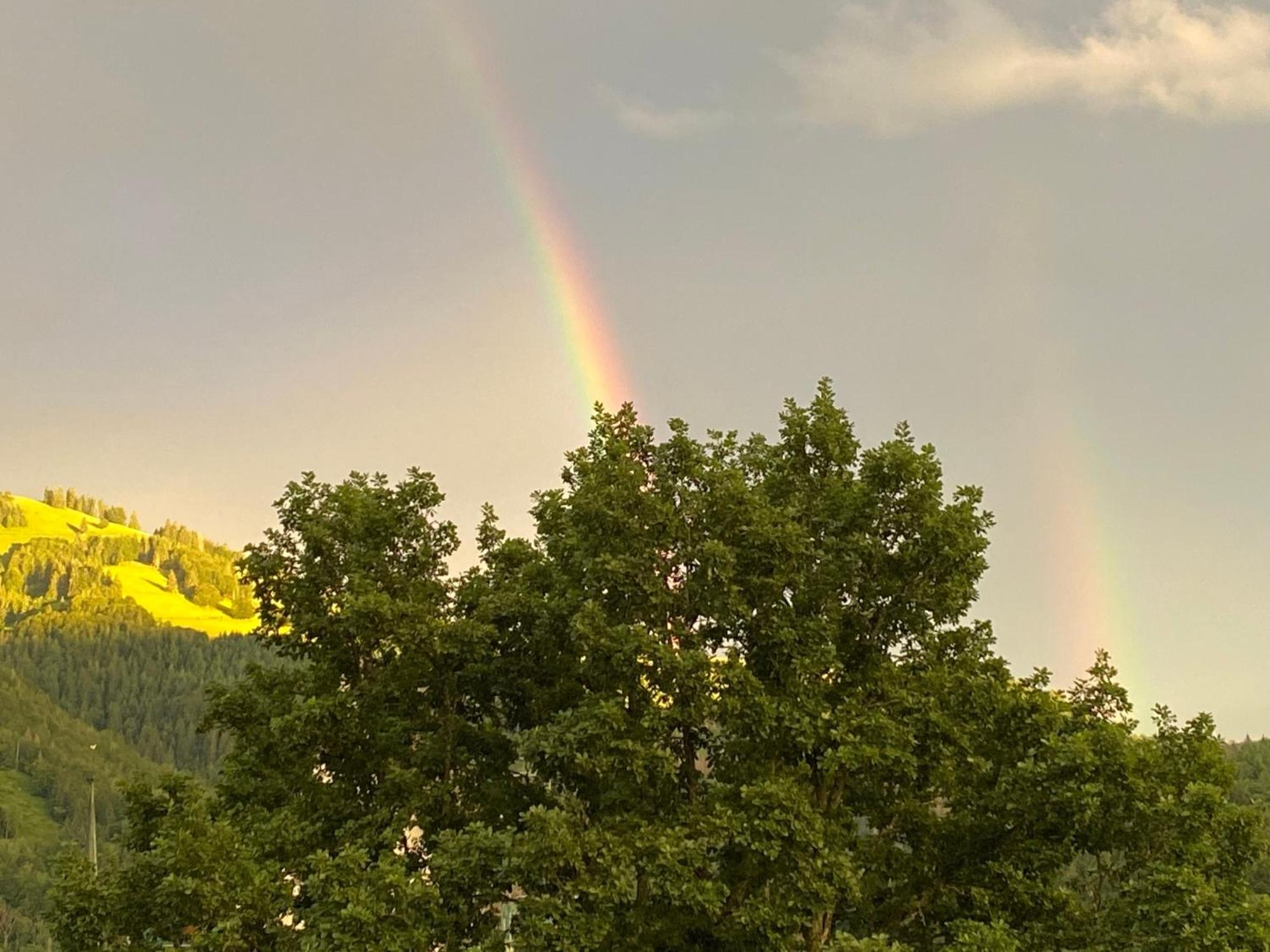 Ferienwohnung Schoenblick Schönau im Schwarzwald 외부 사진